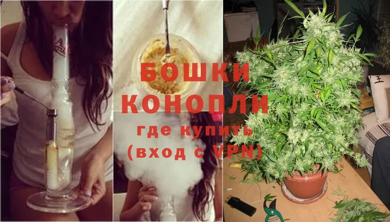 Марихуана White Widow  Полярные Зори 